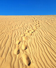 A sand dune in the desert, which, when illuminated by a low-lying sun, forms  patterned relief of light and shadow