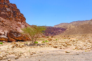 The Arava Desert in the Pillars of Amram near Eilat