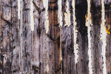 Texture of an old weathered wooden wall made of planks with peeling paint