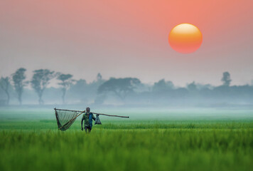Foggy magical winter morning scenic view. Real beauty of rural Bangladesh. Countryside villages