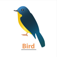 Blue, Yellow Bird Vector Illustration. Wallpaper, art.