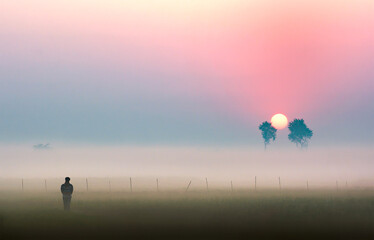 Foggy magical winter morning scenic view. Real beauty of rural Bangladesh. Countryside villages