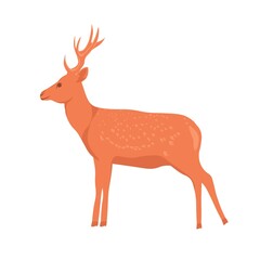 Spotted deer with horns. Vector stock illustration. Mammalian animals. Isolated on a white background.