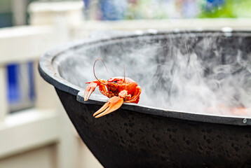 Boiled red crayfish or lobster in a large cast-iron steaming pot. Outdoor summer family party...
