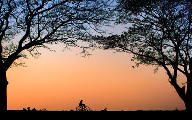 Foggy magical winter morning scenic view. Real beauty of rural Bangladesh. Countryside villages