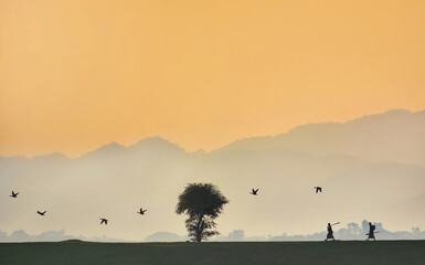 Foggy magical winter morning scenic view. Real beauty of rural Bangladesh. Countryside villages
