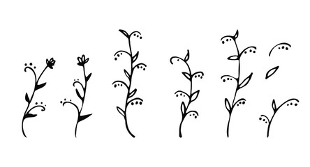 Hand drawb ink plants. Set of isolated vector