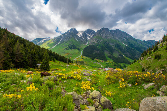 Elevit Plateau view in Rize Province of Turkey