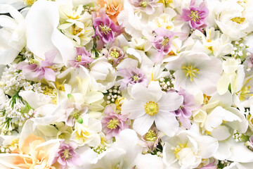 Blossoming white tulips and spring anemone flowers festive background, bright springtime bouquet floral card, selective focus