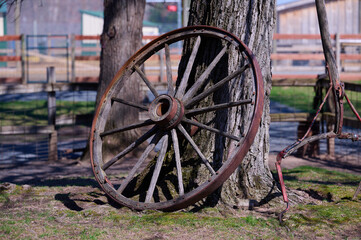 Fototapeta na wymiar Wheel from the wagon of historical time