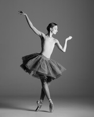 young beautiful ballet dancer posing in a studio - 511131724