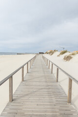 wooden walkway on the beach along the ocean