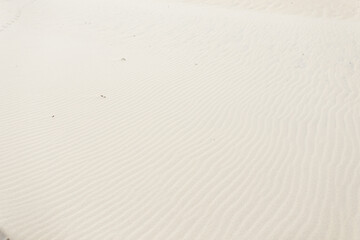 Obraz premium White sand texture on a beach by the ocean