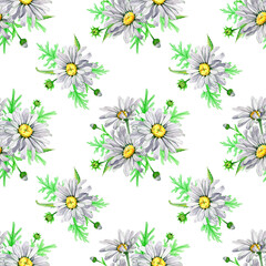 Seamless pattern flower white chamomile watercolor. Bouquet of buds and green foliage of daisy flowers. Natural background. Medical plant. Hand drawn botanical illustration. Fabric packaging design.