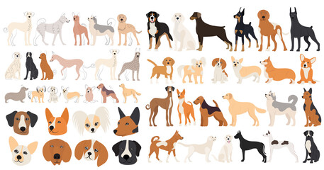 dog set in flat design,on white background isolated vector
