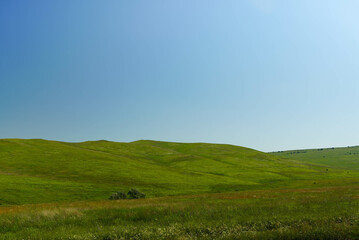 natural landscape with green grass field and blue sky with clouds with curved horizon line.