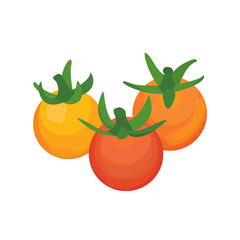Cherry Tomato Vector, Tomato Icon, Tomato Vector, Summer Garden Vegetable, Vegetable Vector, Tomato Illustration, Vector Illustration Background