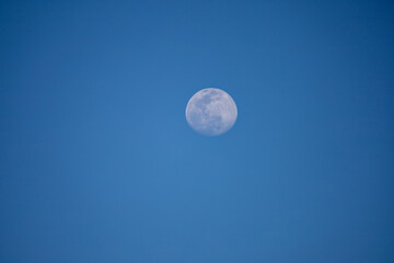 Obraz na płótnie Canvas A blue full moon on a blue sky during the day in San Diego, California.