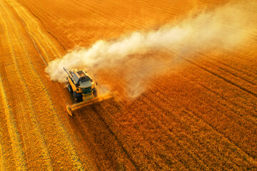 Ukraine harvester harvests wheat drone Top view.