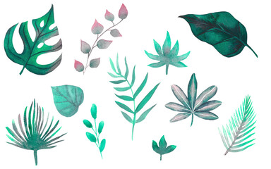 Set of watercolor botanical elements 