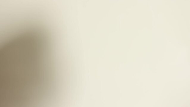 Roasted bread in white toaster. two delicious and toaster toasts. the process of frying toasts