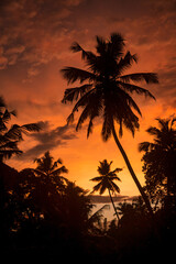 Background tropical natural landscape with coconut palm trees on fantastic sunset, amazing orange...