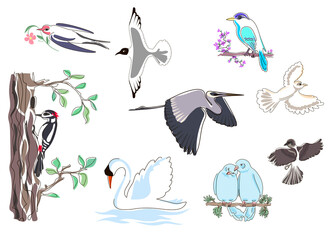 Set of nine drawings of birds in the style of doodles. Vector illustration isolated on a white background