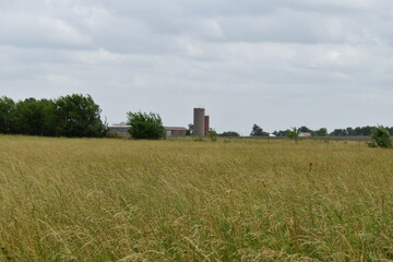 Farm Field with a Grain Silo in the Distance - obrazy, fototapety, plakaty