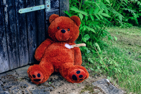 teddy bear lying on the floor destroyed with a knife foto de Stock | Adobe  Stock