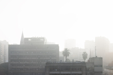 Skyline of buildings with palm tree, church dome and fog in Buenos Aires city. 