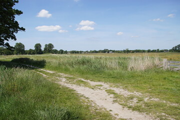 Meadows, path, ditch, trees, horizon. Saenegheest polder nature reserve near the village of Bergen. June Netherlands. 