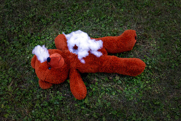 destroyed stuffed teddy bear lying on the floor outside