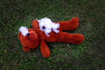 Fototapeten destroyed stuffed teddy bear lying on the floor outside © wernerimages