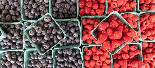 A Banner of Fresh Berries