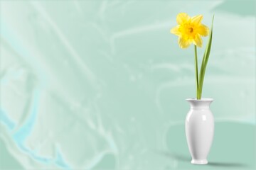 Fresh beautiful flowers. Pastel minimal scene for products promotion display.