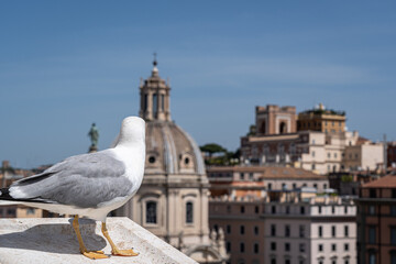 view of rome