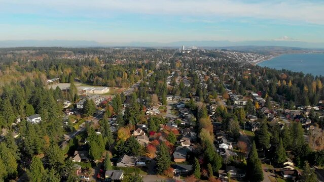 South Surrey aerial view 1