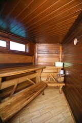 interior sauna in the forest with a tree and steam health and beauty
 