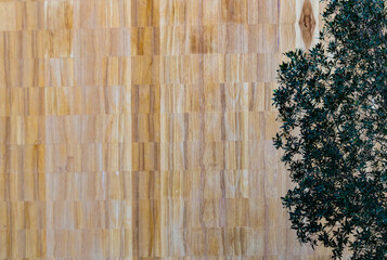 Abstract exterior architecture facade of  modern  residential  building with a tree  in Abu Dhabi