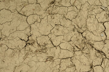 Cracked Mud Texture