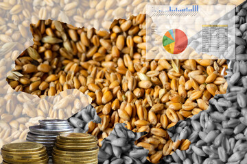 Food crisis. Ukraine map. Global and European grain and wheat crisis, Ukraine. Export, import. Farming. Oats, barley, rye. Graph. Economic depression. Analysis. Harvest. Business. Bread. Coins