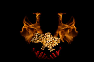 Food crisis. Global and European grain and wheat crisis, Ukraine. Exporters of grain. Devil with...