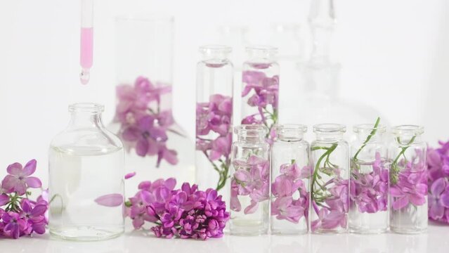 Floral perfume with the scent of lilac. Perfumery. Oil essence with lilac flowers. Production of perfumes in laboratory. Drops of essential oil from cosmetic pipette fall into perfume slow motion