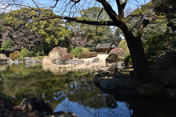 国立科学博物館、庭園