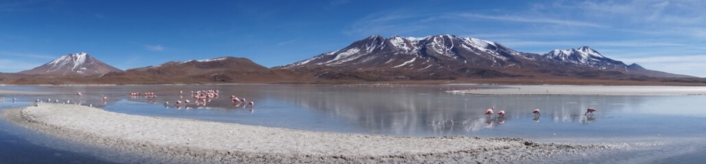 view of the lake and mountains