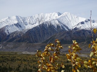 landscape in the mountains