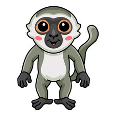Cute little vervet monkey cartoon standing
