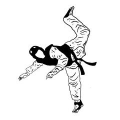 Obraz premium taekwondo kick vector