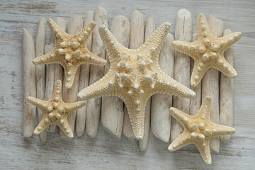  Marine wallpaper. Summer wallpaper in a marine style. Texture of starfish and driftwood sticks.Background in a marine style in white and beige tones.nautical decor.