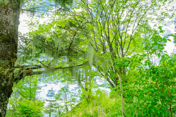 長野県宮田村　宮田高原キャンプ場の景色